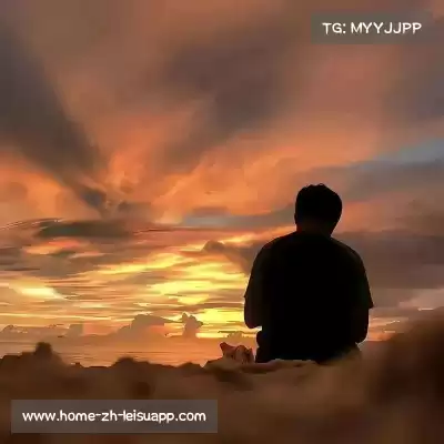 何鹰辉